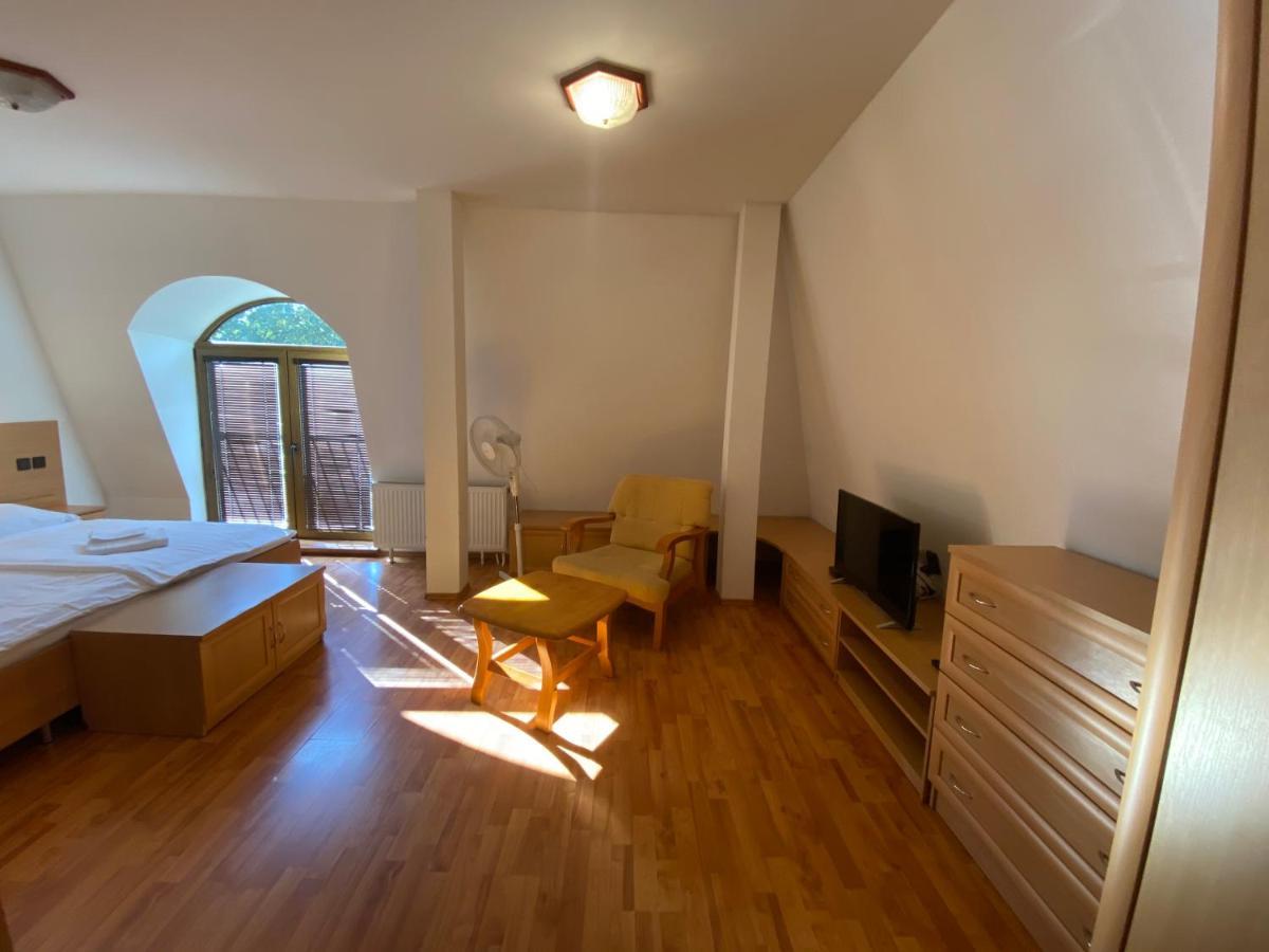 Hotel David Velke Bosany Екстериор снимка