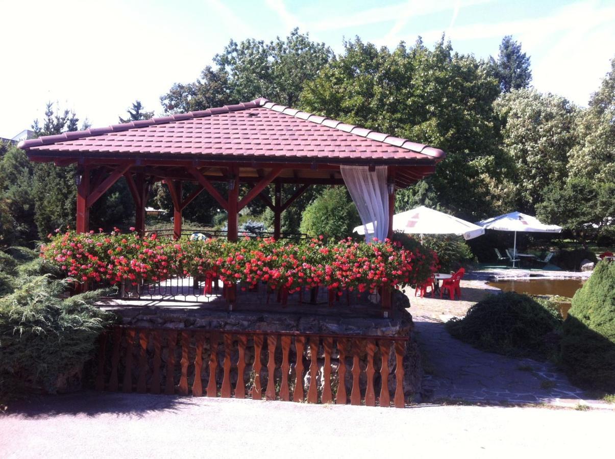 Hotel David Velke Bosany Екстериор снимка