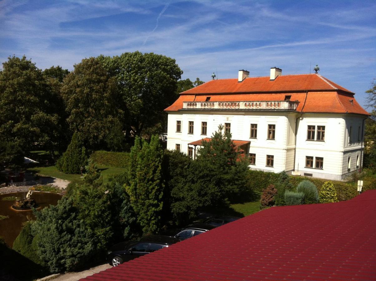 Hotel David Velke Bosany Екстериор снимка