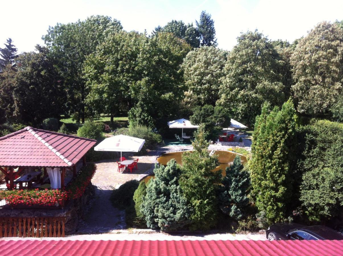 Hotel David Velke Bosany Екстериор снимка