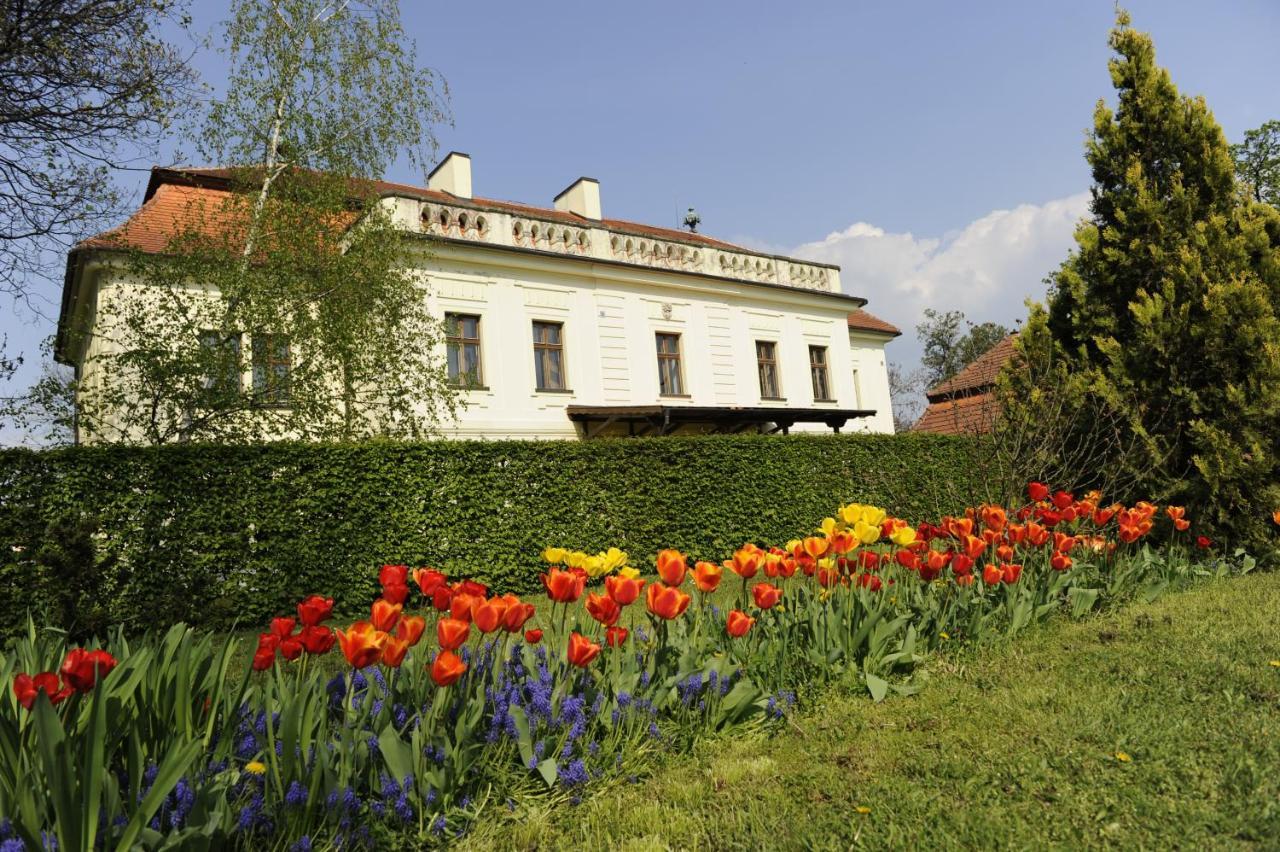 Hotel David Velke Bosany Екстериор снимка