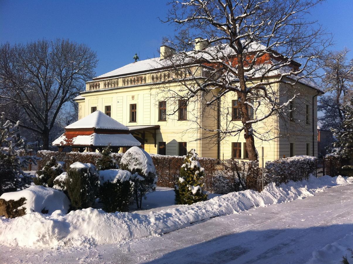 Hotel David Velke Bosany Екстериор снимка