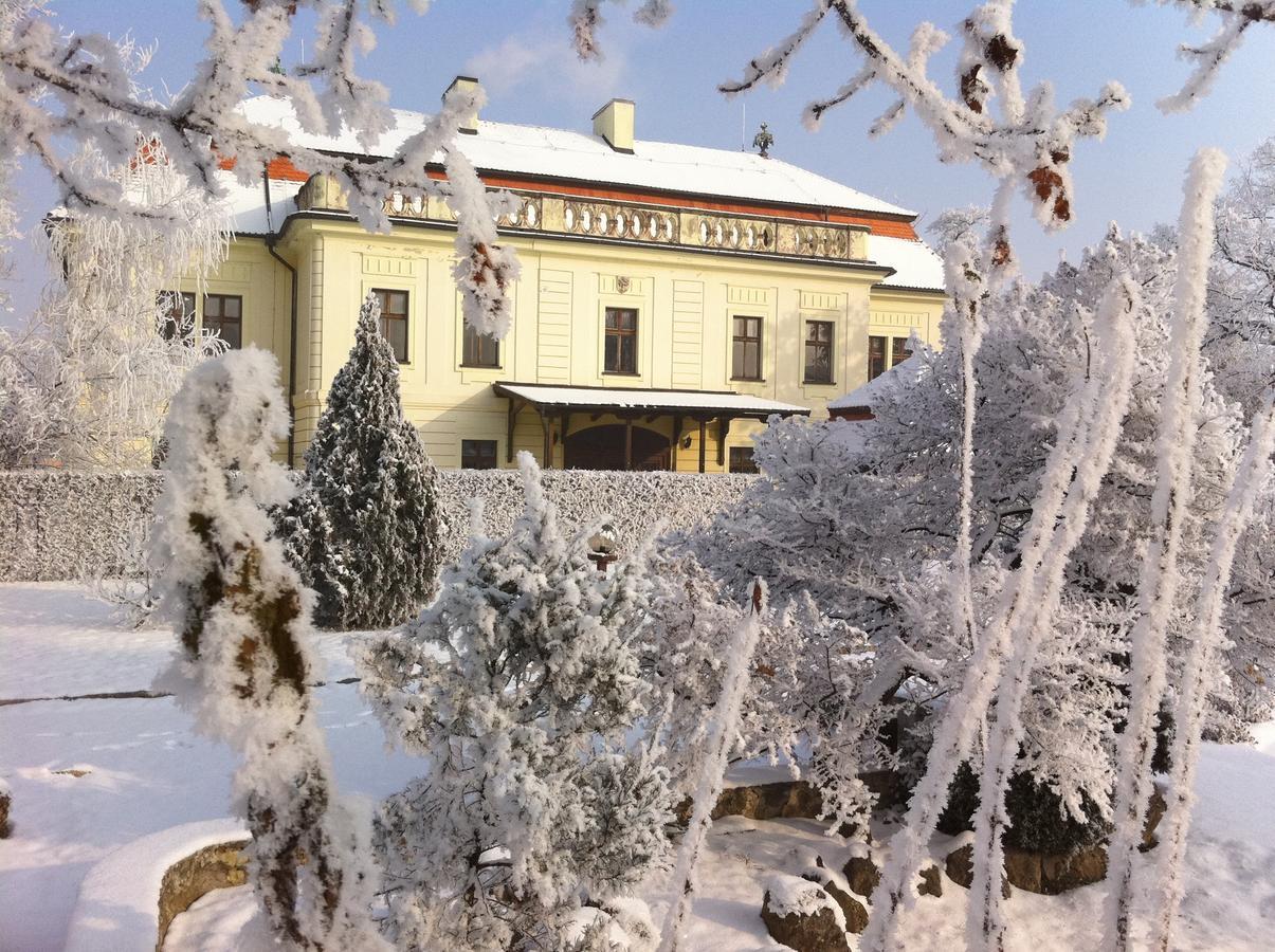 Hotel David Velke Bosany Екстериор снимка