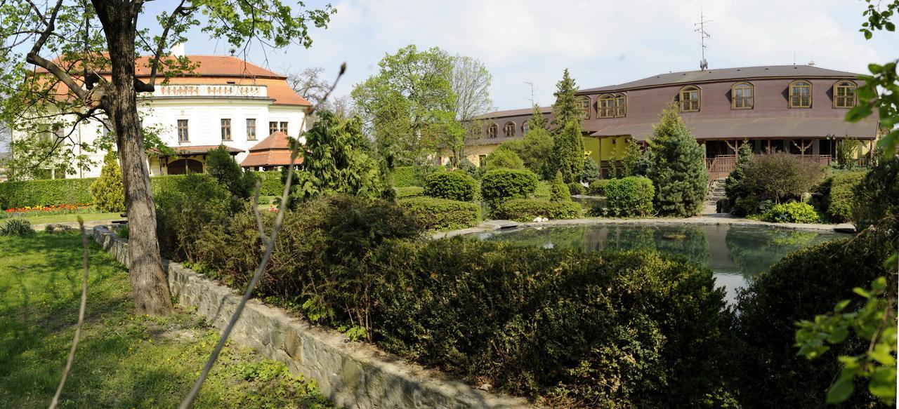 Hotel David Velke Bosany Екстериор снимка