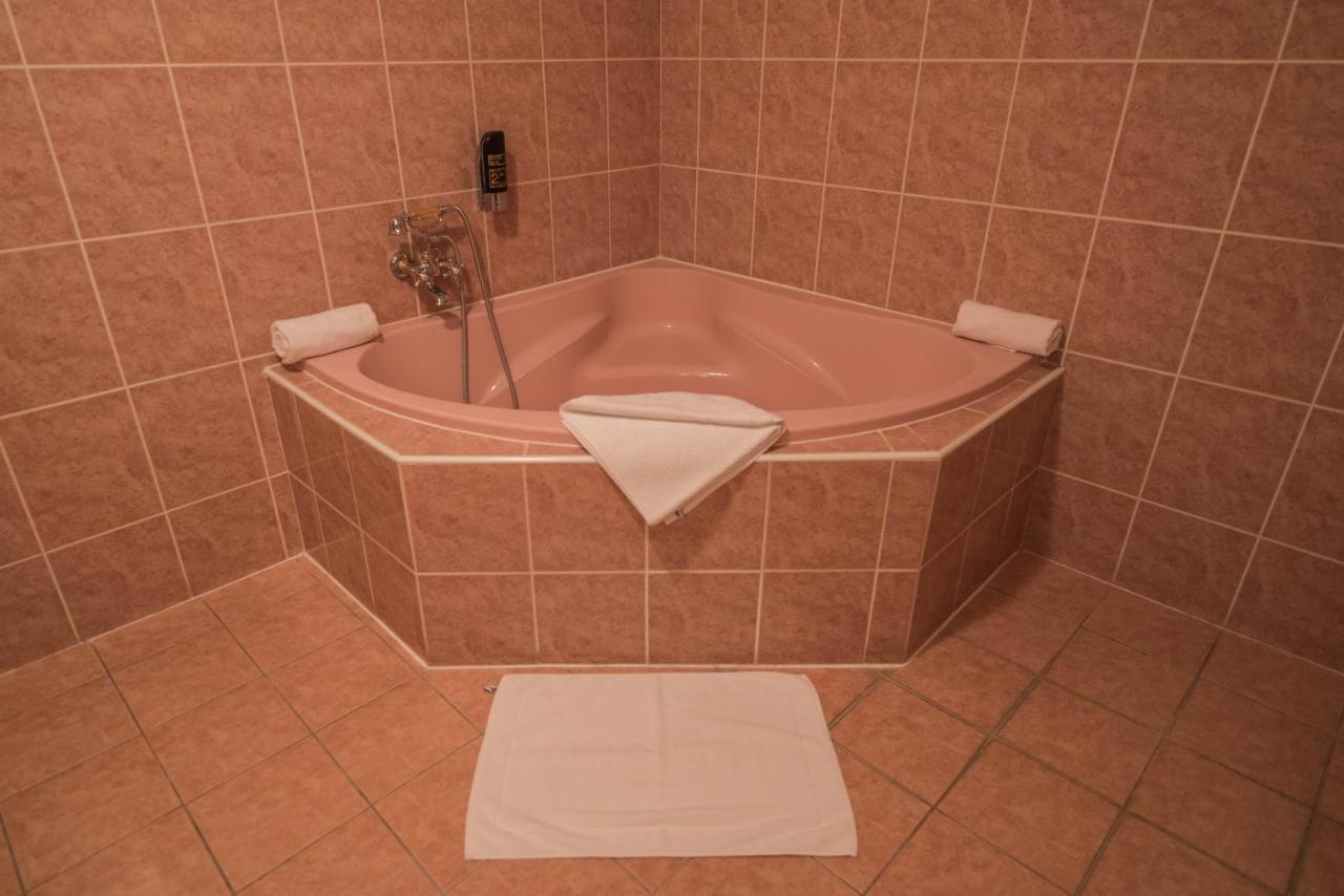 Hotel David Velke Bosany Екстериор снимка